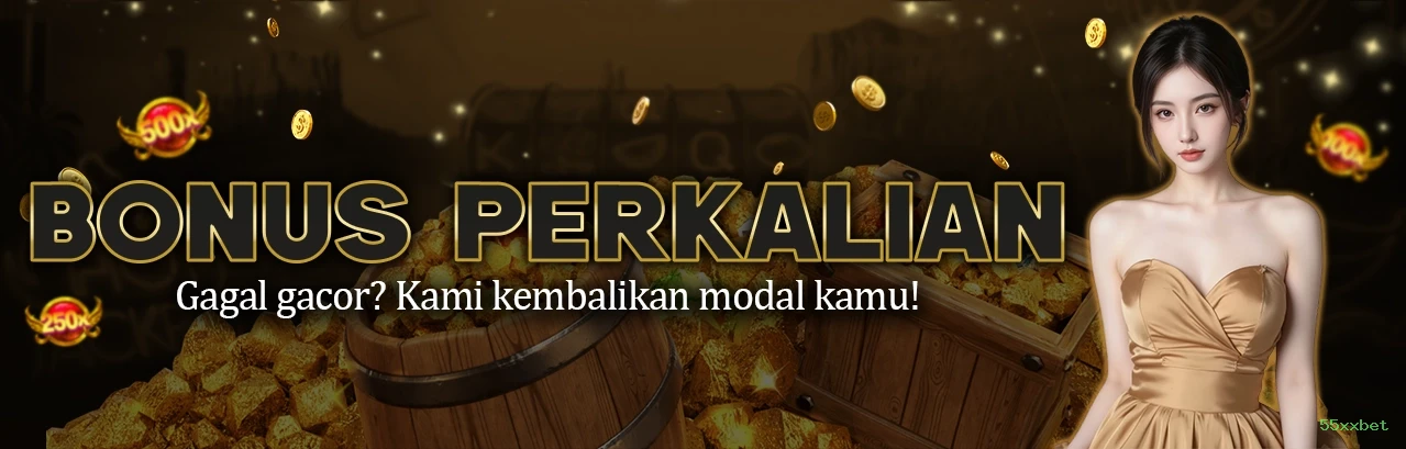 Termos 55xxbet
